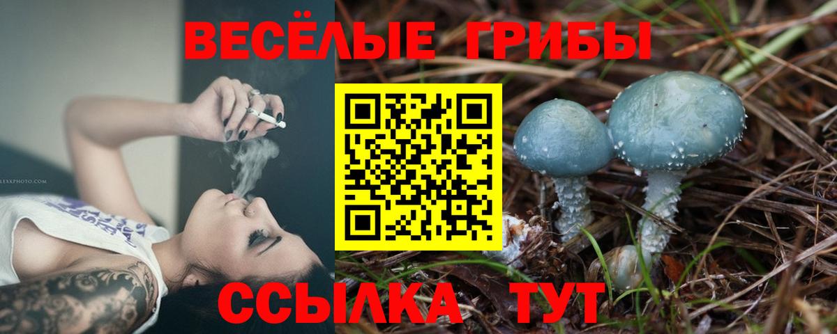 Галлюциногенные грибы MAGIC MUSHROOMS  Вход с VPN  Выкса  Галлюциногенные грибы MAGIC MUSHROOMS 